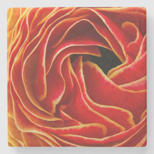 Makro-Blumen-Abstrakt bei Flower Fields Steinuntersetzer