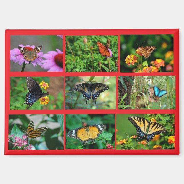 Makro Butterfells Postkarte Magnet (Vorderseite)