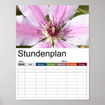 Makro der weißen und lila Clematien