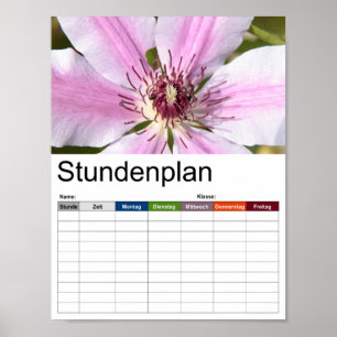 Makro der weißen und lila Clematien Poster