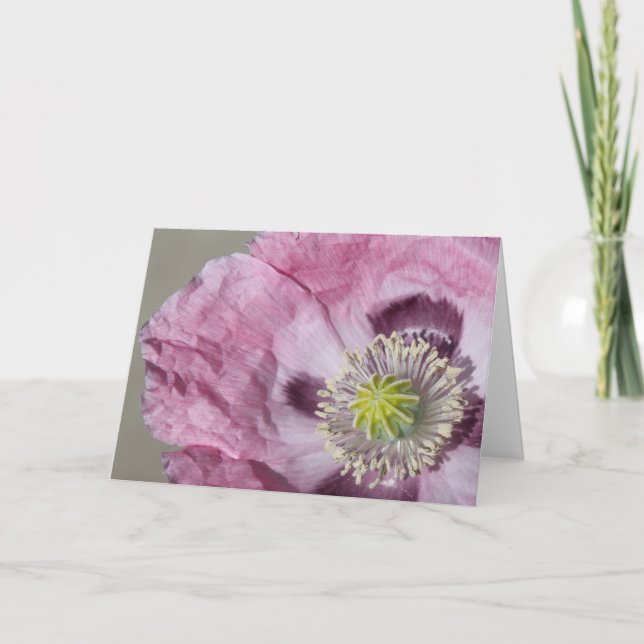 Makro-Foto lila Leidenschaft Blume - leere Karte (Vorderseite)