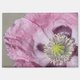 Makro-Foto lila Leidenschaft Blume - Magnet