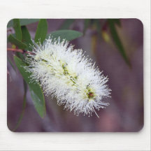 Makro-Foto-Pflanze auf einem Mousepad