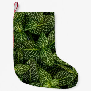 Makro-Foto von grün blättrigen Pflanze Kleiner Weihnachtsstrumpf
