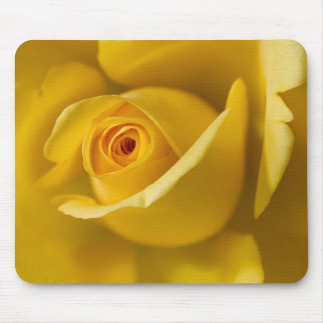 Makro gelbe Rose Mousepad (Vorne)