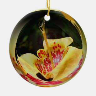 Makro Gepunktet Gelbe Liege Blume Art Collection Keramik Ornament