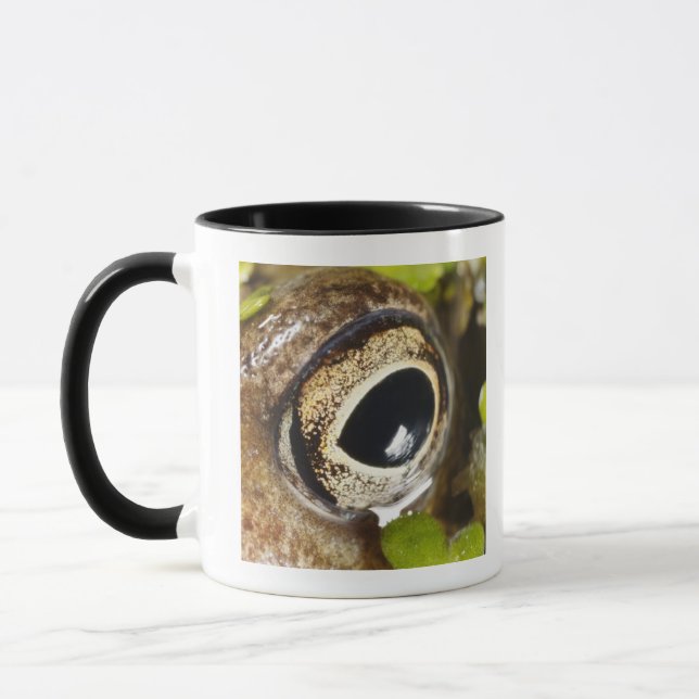 Makro; Horizontal; Farbe; Farbe; Niemand Tasse (Links)