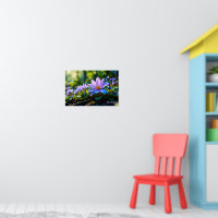 Makro Lila Waldwildblumen mit Tau