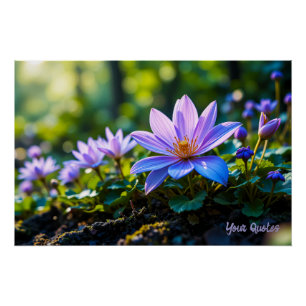 Makro Lila Waldwildblumen mit Tau Poster