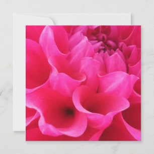 Makro Nah-up Delilah-Blume Karte