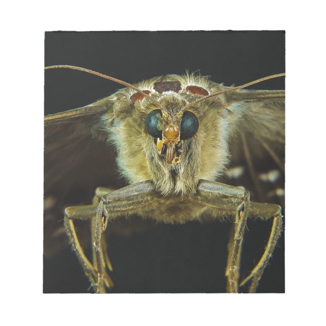 Makro Naher Schmetterling Notizblock (Vorderseite)