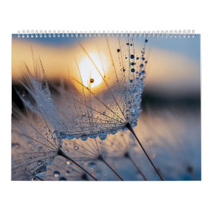 Makro-Naturfotos Kalender
