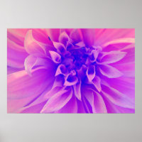 Makro-Rosa-Blume