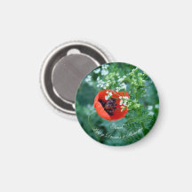 Makro-Rote Mohnblumen-Foto | Personalisierter Blum
