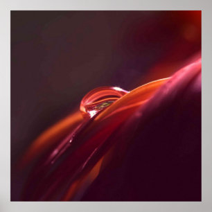 Makro rotes Blumenblatt Poster