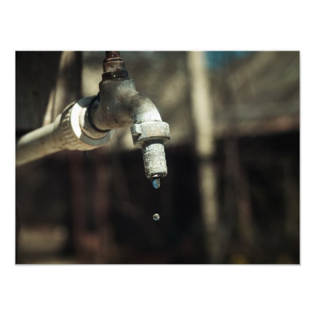 Makro-Wassertropfen Fotodruck (Vorne)