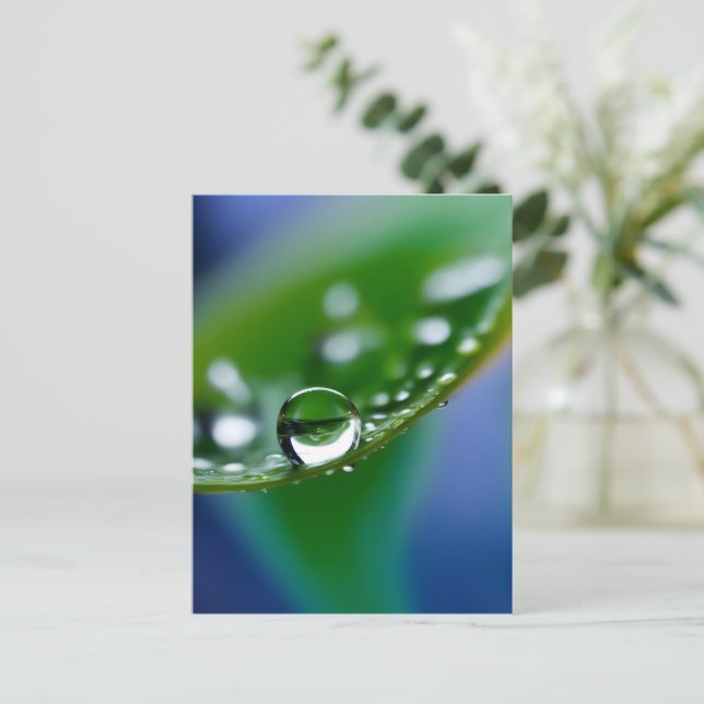 Makro-Wassertropfen Postkarte (Stehend Vorderseite)