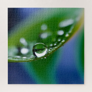 Makro-Wassertropfen Puzzle