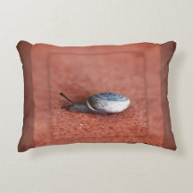 Makroaufnahme der Schnecke auf der Terracotta