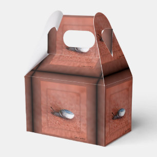 Makroaufnahme der Schnecke auf der Terracotta Geschenkschachtel