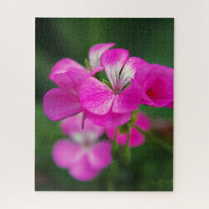 Makroaufnahme einer rosa Blume Puzzle