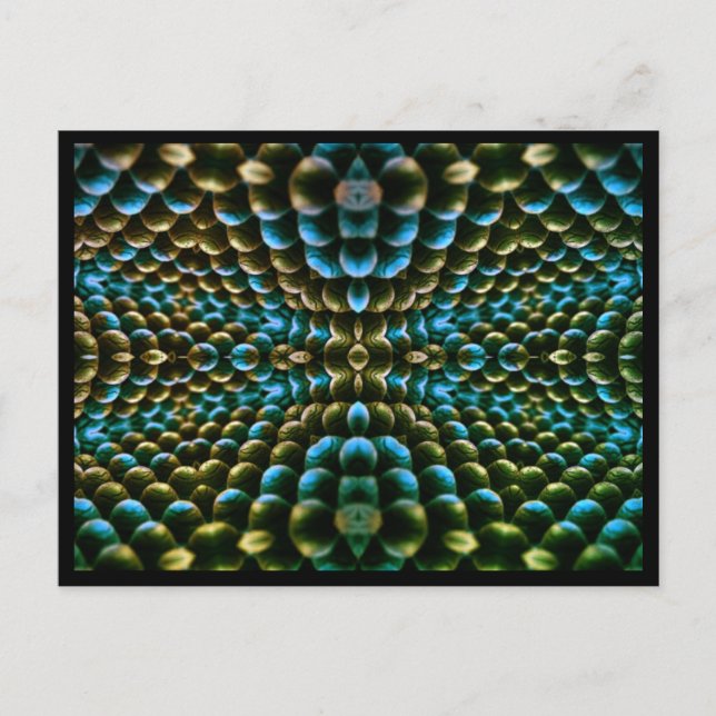 Makrodelikte Postkarte (Vorderseite)