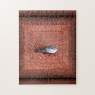 Makrofoto einer Schnecke auf Terrakotta Puzzle