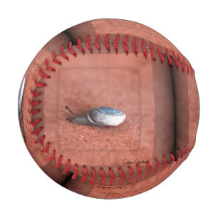 Makrofoto von Schnecke auf Terrakotta Baseball