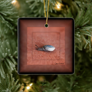 Makrofoto von Schnecke auf Terrakotta Keramikornament