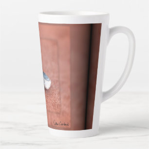 Makrofoto von Schnecke auf Terrakotta Milchtasse