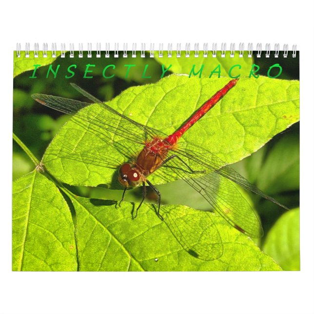 Makrofotografie-Kalender Kalender (Titelbild)