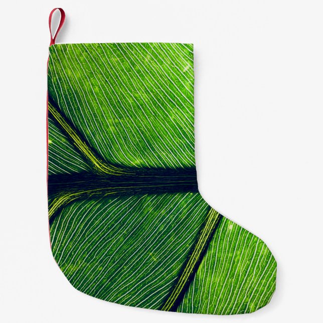 Makrofotografie Kleiner Weihnachtsstrumpf (Vorderseite)