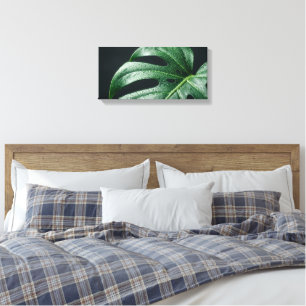 Makrofotografie: Monstera-Blatt mit Morgentau  Leinwanddruck