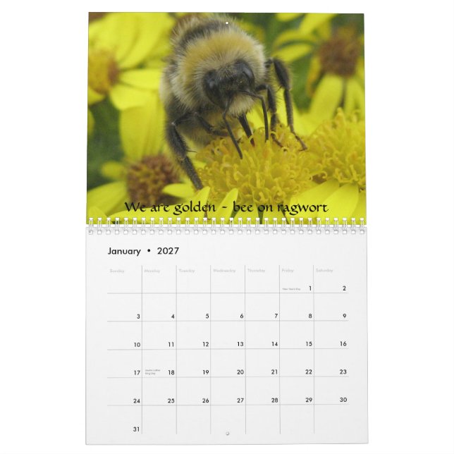 Makroinsekten-Kalender Kalender (Jan 2027)