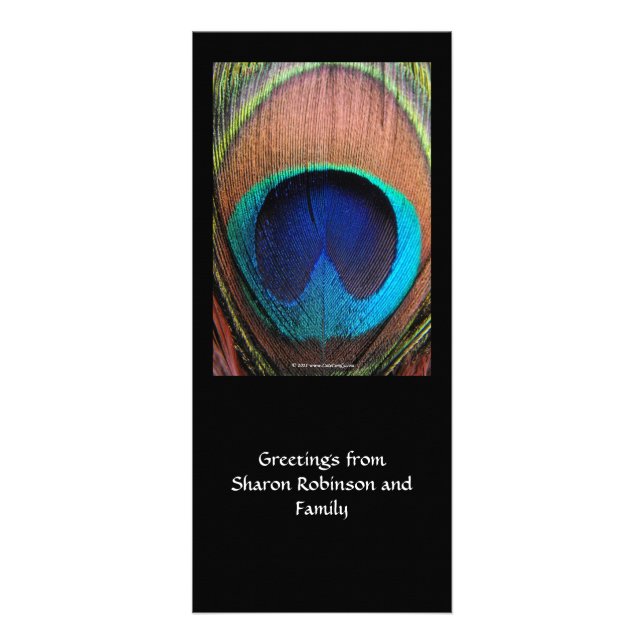 Makropfau-Feder-reiche Blues photographisch Werbekarte (Vorne)