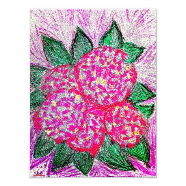 Makrophylla Fotodruck (Vorne)