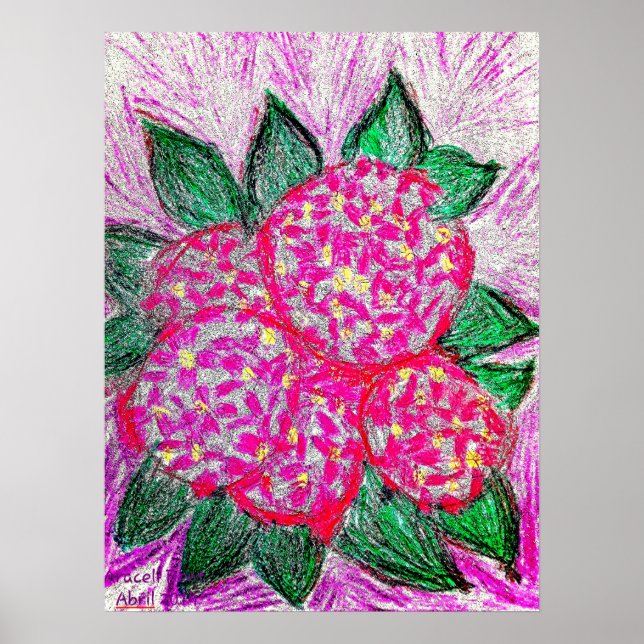 Makrophylla Poster (Vorne)