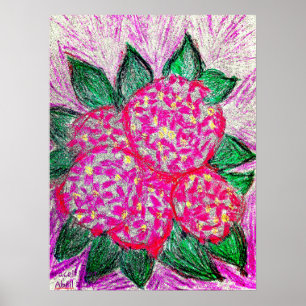 Makrophylla Poster