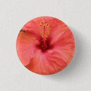 Makroschaltfläche für Orange Hibisken Blume Button