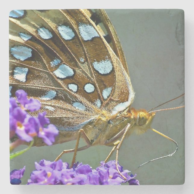 Makroschmetterling Steinuntersetzer (Vorderseite)