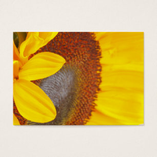 Makrosonnenblume-Visitenkarte