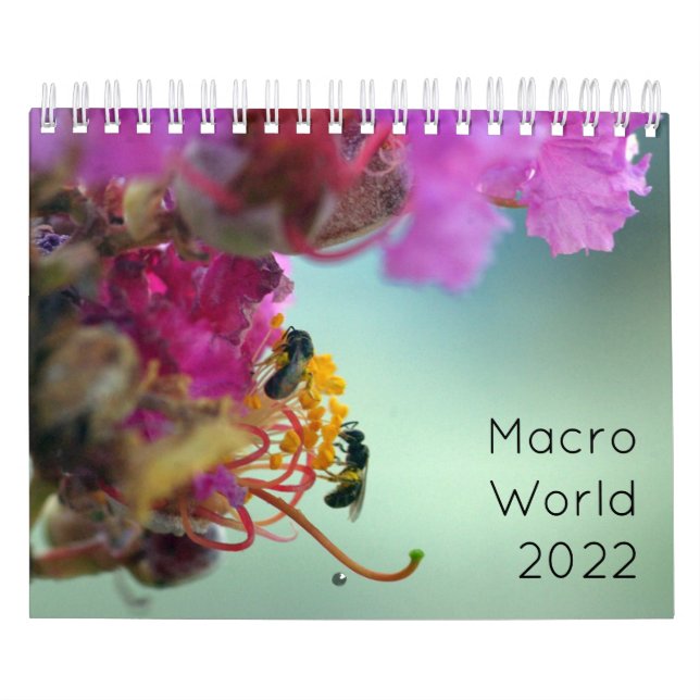 Makrowelt 2022 kalender (Titelbild)
