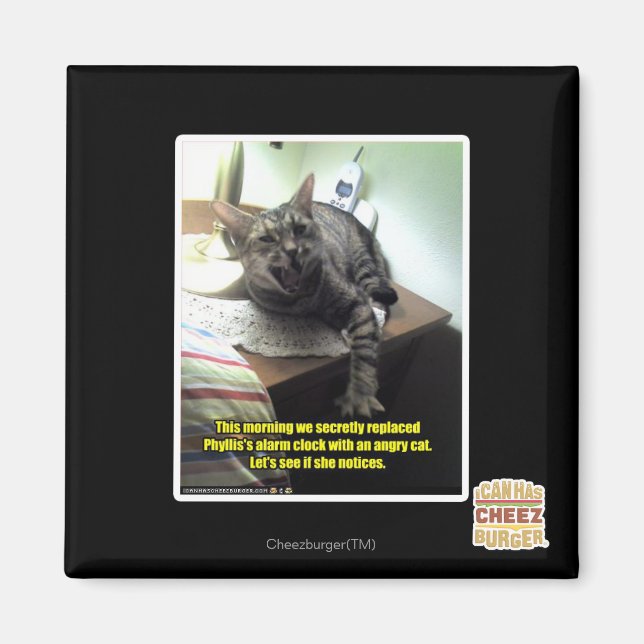 Mal sehen, ob sie es bemerkt. magnet (Vorne)