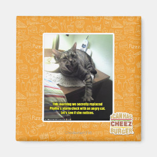 Mal sehen, ob sie es bemerkt. magnet