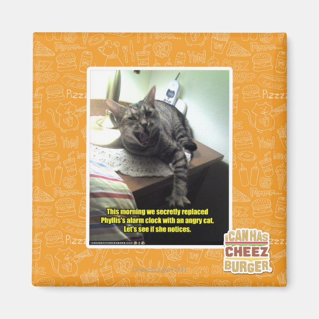 Mal sehen, ob sie es bemerkt. magnet (Vorne)