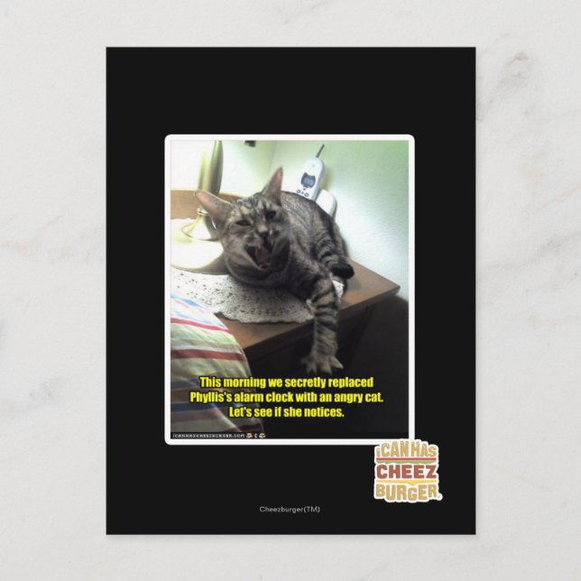 Mal sehen, ob sie es bemerkt. postkarte (Vorderseite)