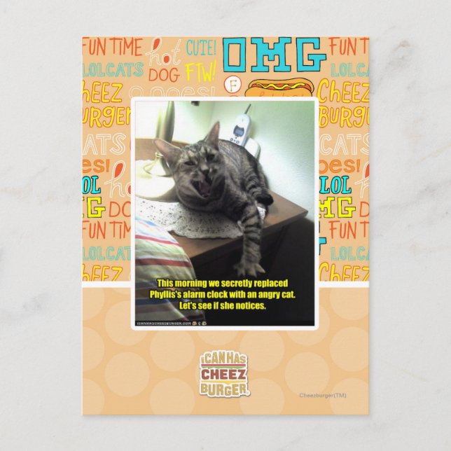 Mal sehen, ob sie es bemerkt. postkarte (Vorderseite)