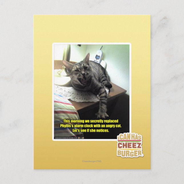 Mal sehen, ob sie es bemerkt. postkarte (Vorderseite)