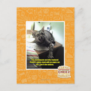 Mal sehen, ob sie es bemerkt. postkarte