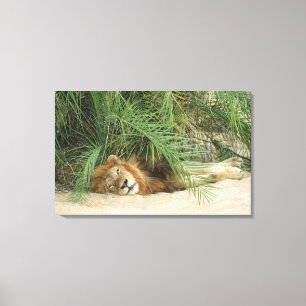 Mala Mala Reserve, Mpumalanga-Provinz, Süd Leinwanddruck